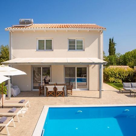 Grappolo Lefkada Villas - Vilana Ideal For Families And Small Groups Apolpaina Exterior foto